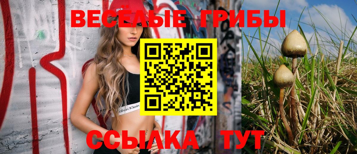 Псилоцибиновые грибы GOLDEN TEACHER  Галлюциногенные грибы мицелий  Кумертау  Вход с VPN 